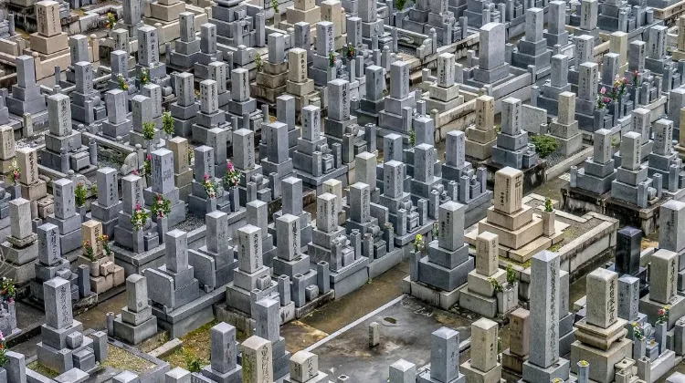 Source: Luís Alvoeiro Quaresma/ unsplash Many Japanese visit the burial sites of their loved ones on Vernal Equinox Day