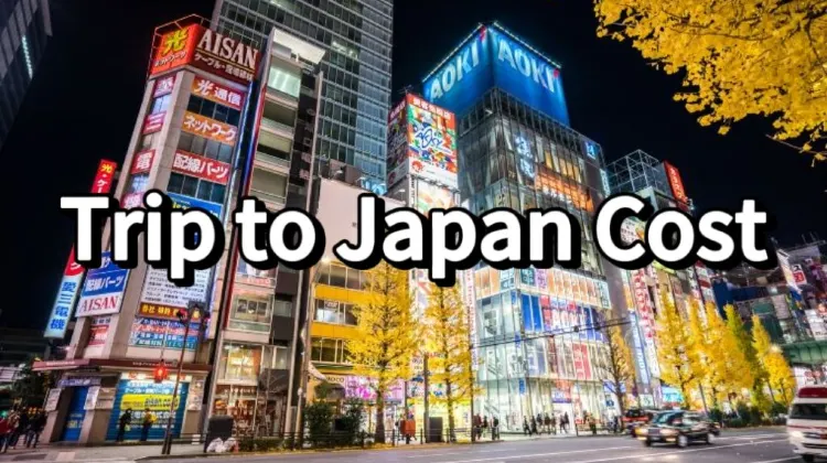 How much did the tsunami in japan cost
