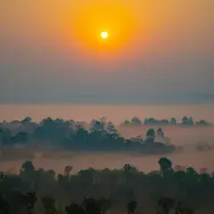 ที่เที่ยวพิษณุโลก#5 อุทยานแห่งชาติทุ่งแสลงหลวง