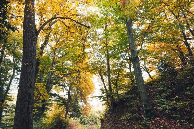 Best times to visit Guangzhou