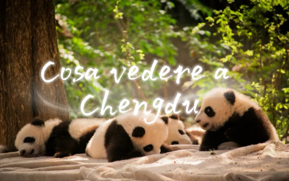 Cosa vedere a Chengdu: attrazioni e cosa fare