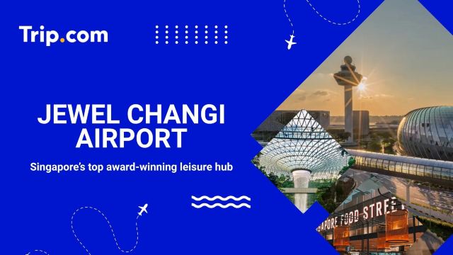Jewel Changi Airport Guide: Transit, Map & Tips | Trip.com
