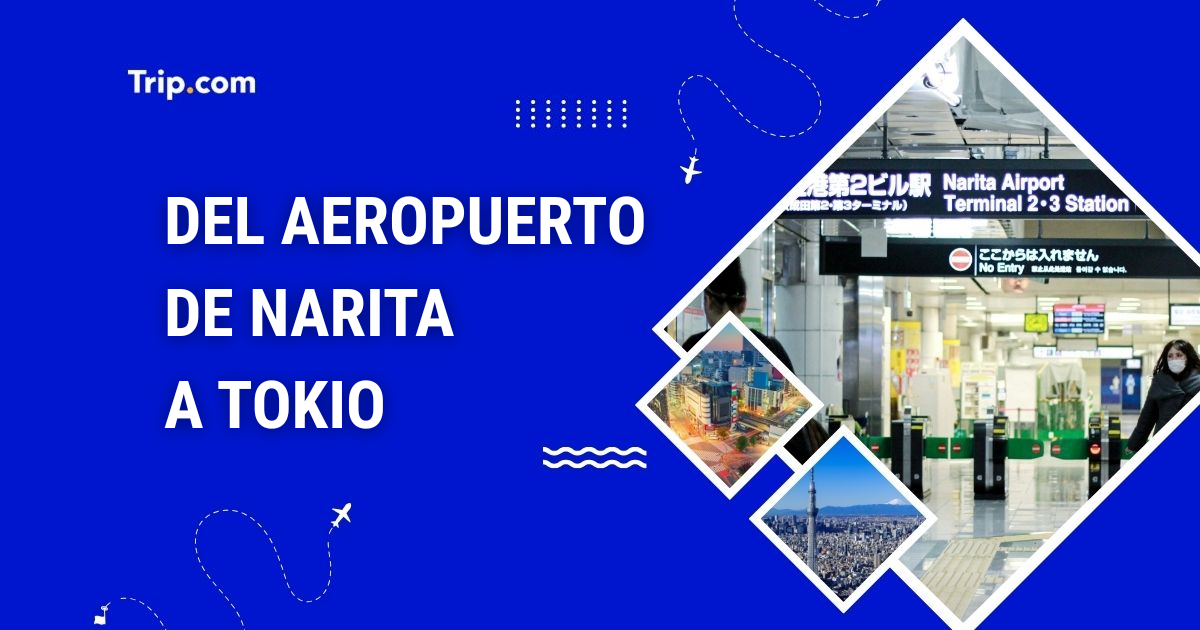 Cómo ir del aeropuerto de Narita a Tokio