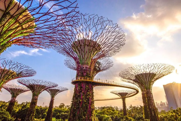 Gardens by the Bay - Tourist Guide