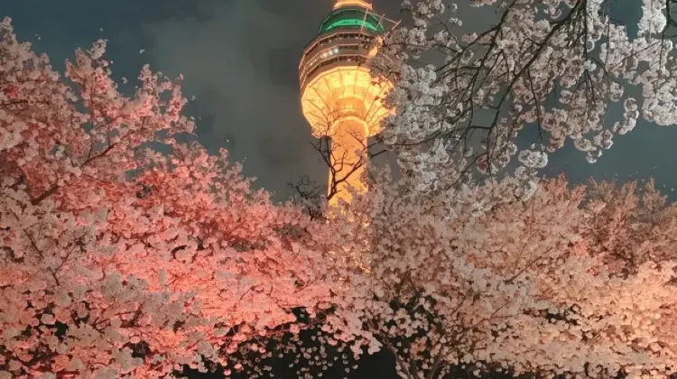 韓国鉄道で釜山から大邱駅へ！運賃・時刻表