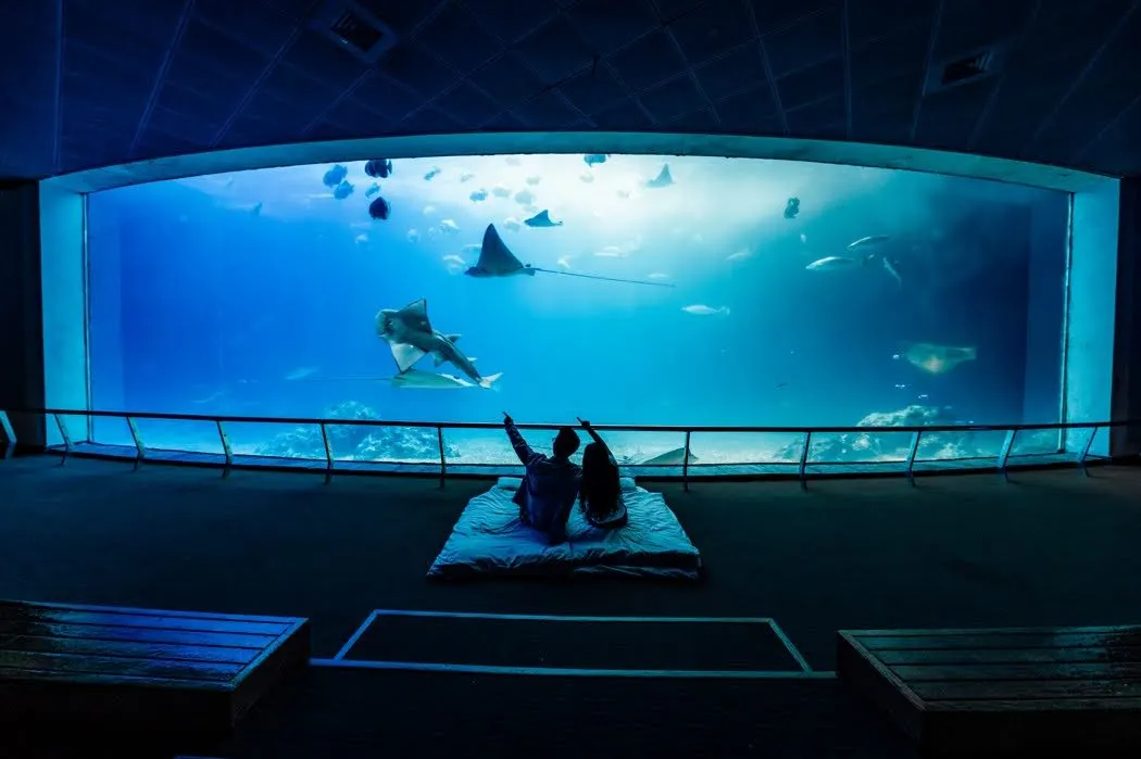 海生館