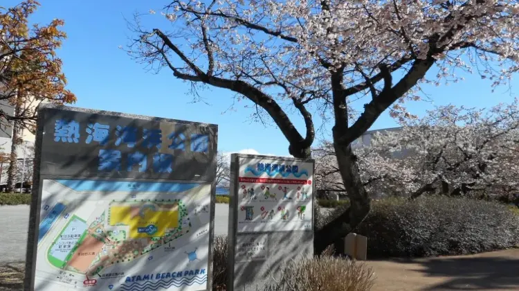 「センスがいい」と言われる熱海土産の選び方