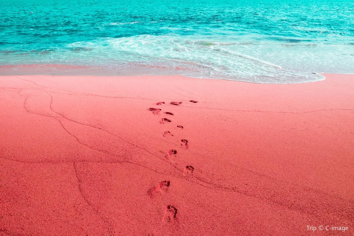 Tempat Wisata di Indonesia-Pantai Pink