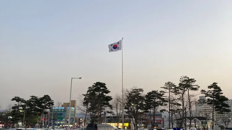 飛行機で釜山から大邱へ行くことができますか？