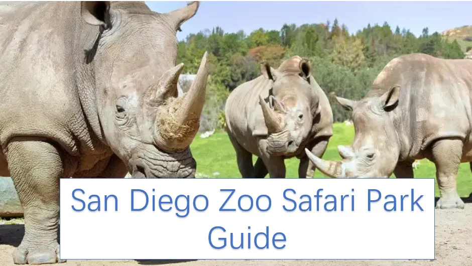 San Diego Zoo Safari Park Guide