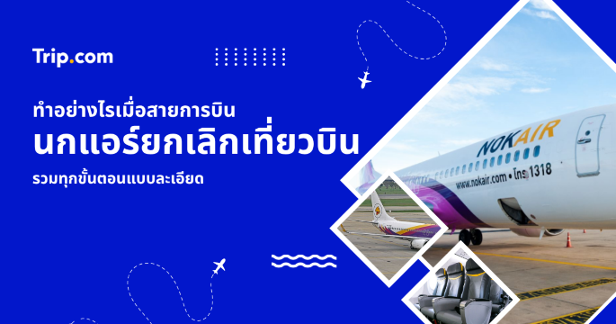 นกแอร์ยกเลิกเที่ยวบินต้องทำอย่างไรบ้าง? คู่มือบิน Nok Air ครบจบ 2569 | Trip.com