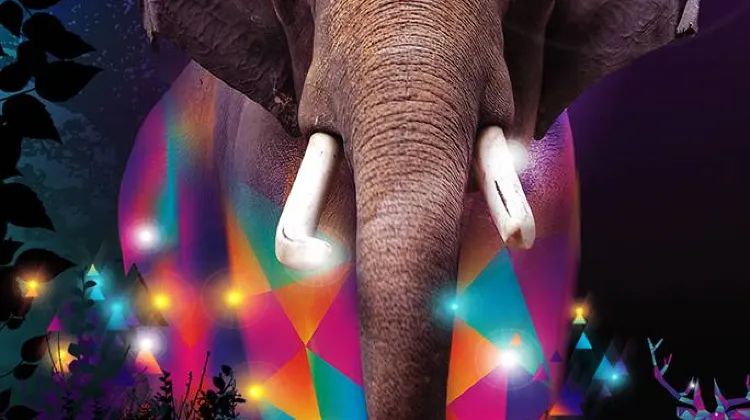 Hal yang Dapat Dilakukan di Night Safari