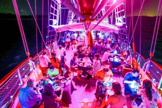 What you can expect on Royal Albatross