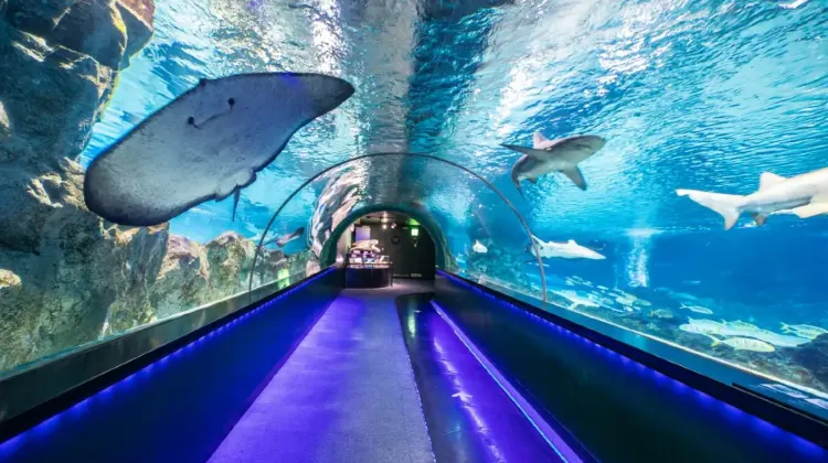 1.海底トンネル