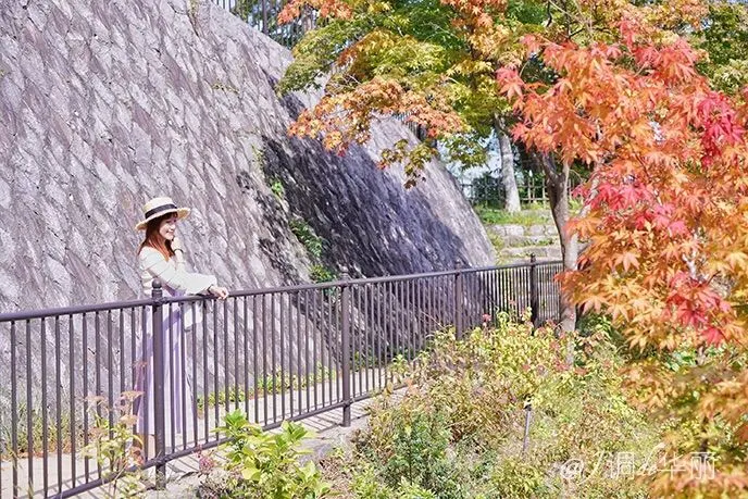 【伊香保温泉】紅葉の見頃は10月下旬~11月上旬