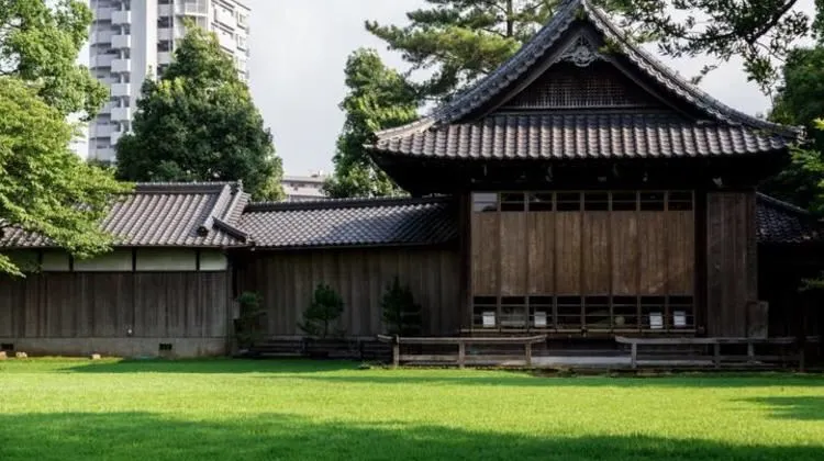ひとり旅で熊本に行ったらやりたい5つのこと