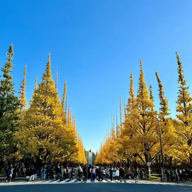 東京好去處