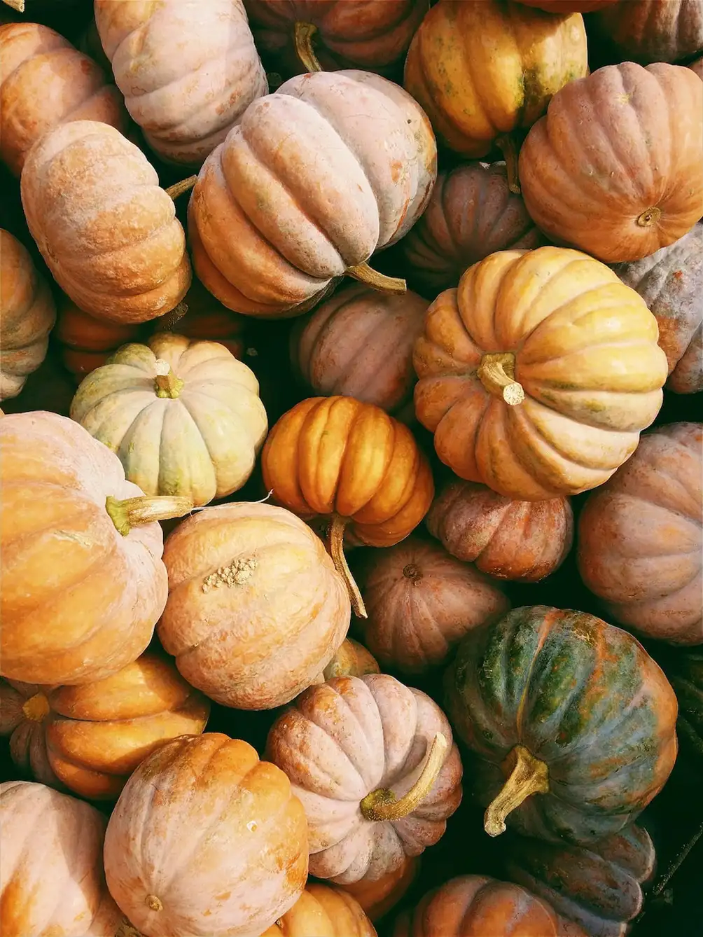 Source: Kerstin Wrba / unsplash  Native Americans used to pray for a good harvest on Thanksgiving