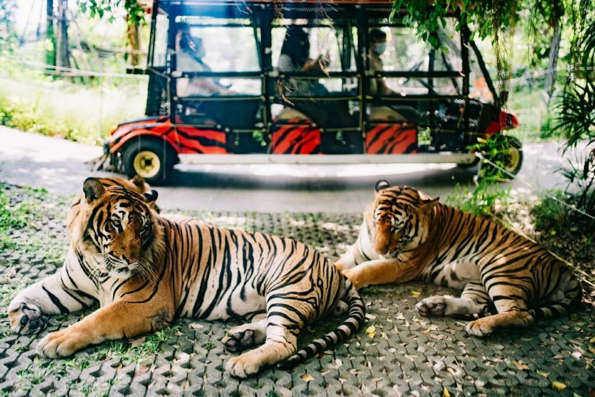 สถานที่ท่องเที่ยวใกล้โรงแรม Movenpick Pattaya