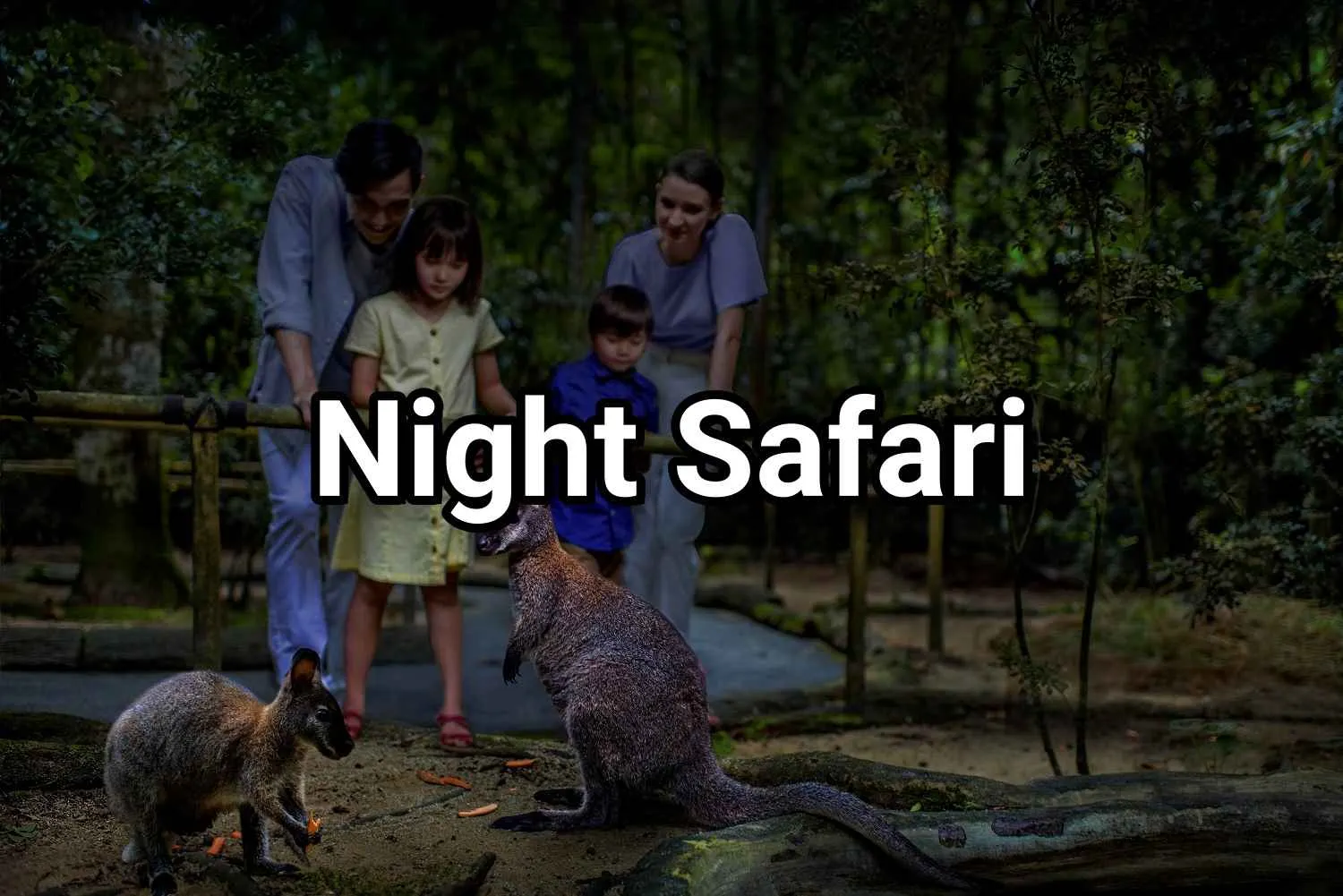 Night Safari Tickets