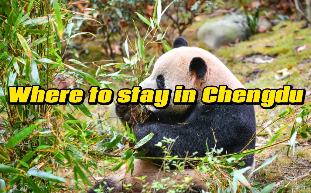 where to stay in Chengdu