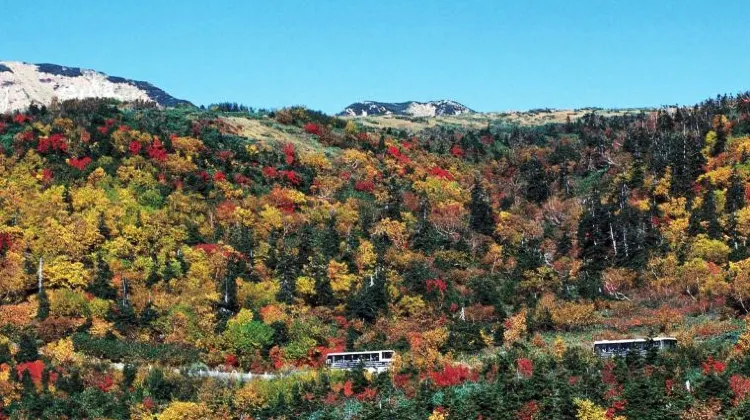ひとり旅で知っておきたい富山のルールやマナー