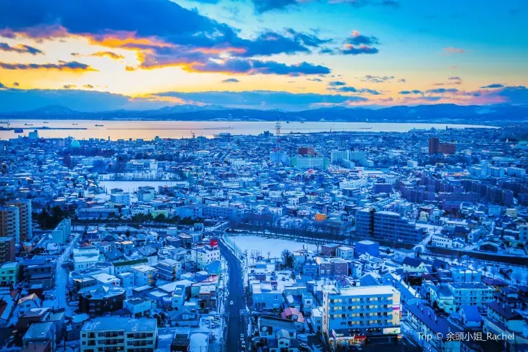 お土産選びで函館旅行はもっと楽しくなる!