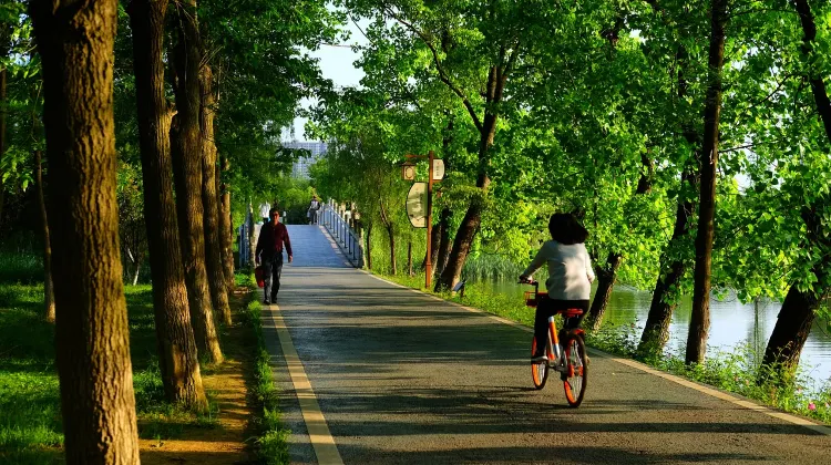 韓国の自転車レンタル「タルンイ」を使ってみよう！