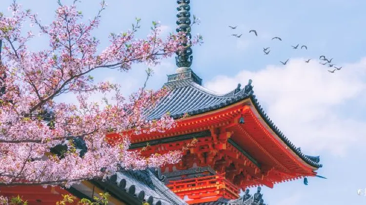 Explore with Osaka JR Pass: Attractions Around Osaka Kyoto