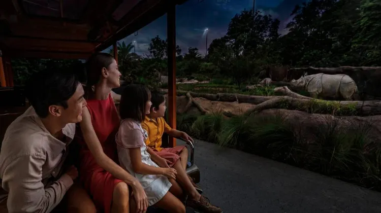 Tiket Night Safari - Diskon Besar dari Trip.com