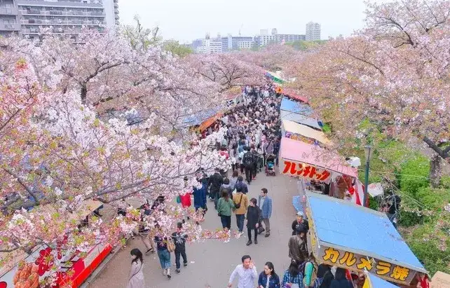 日本賞櫻地點 — 造幣博物館