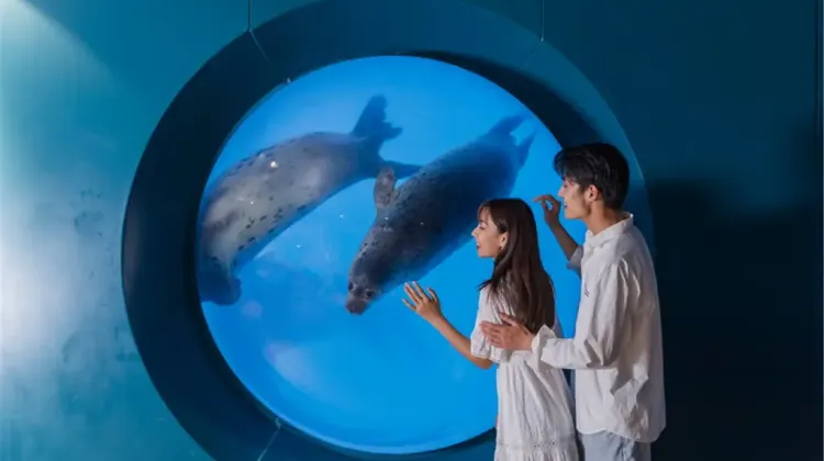 5.青島海底世界