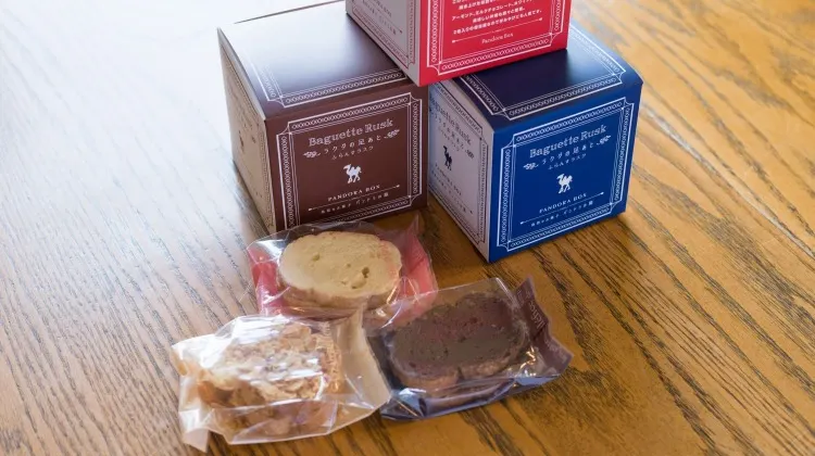 ラクダの足あと