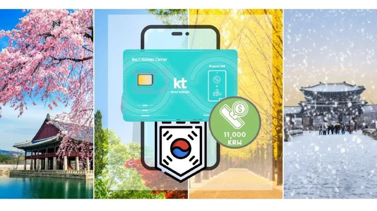 How to get SIM Card in South Korea?