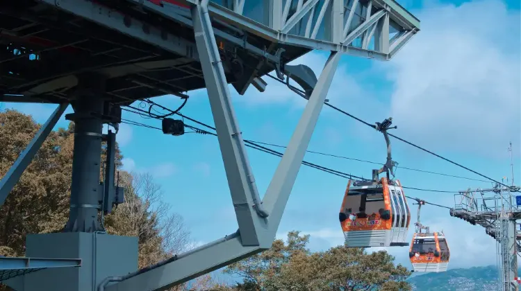 猫空ロープウェイで空中散歩、猫空地域でランチ
