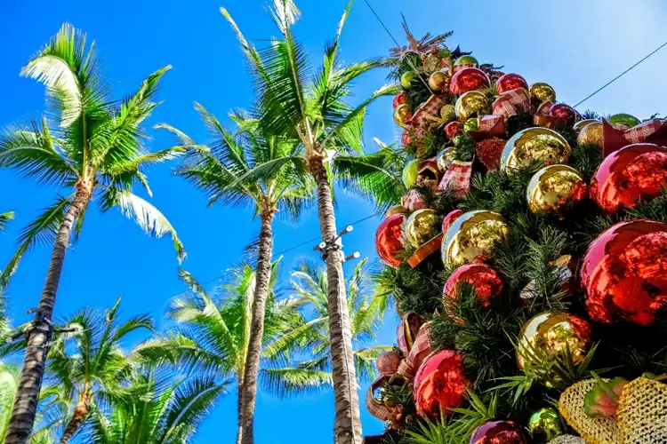 Source: Jeremy Bezanger/ unsplash Experience a tropical Christmas in Honolulu, Hawaii
