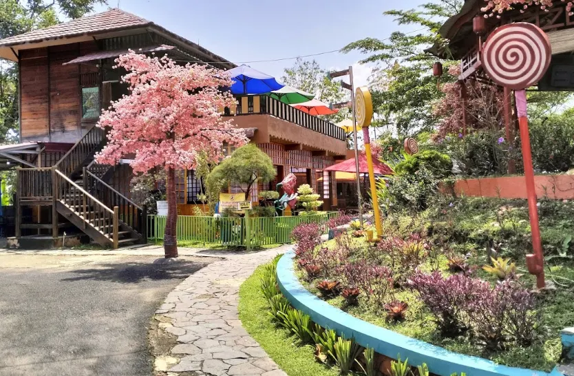 Wisata Lampung - Bukit Sakura Kemiling