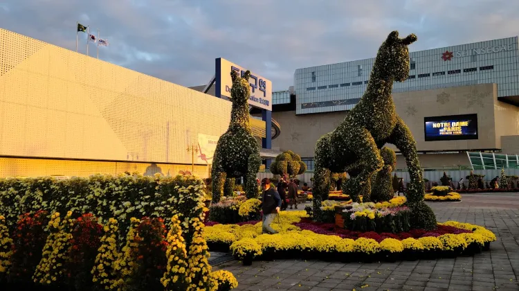 知っておきたい東大邱駅の施設情報