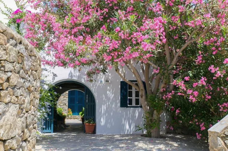 希臘氣溫 - 米科諾斯島