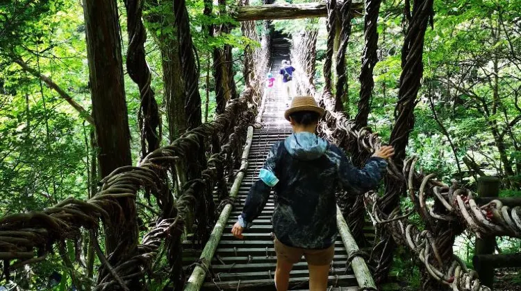 祖谷のかずら橋