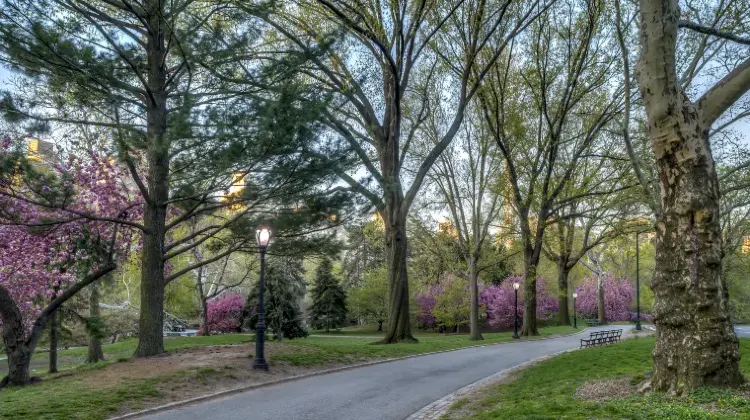 「センスがいい」と言われる旭川お土産の選び方