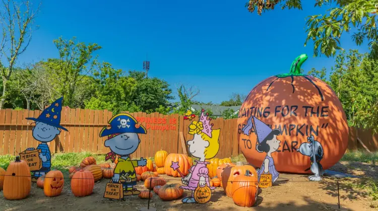 スヌーピーガーデンに関するよくある質問