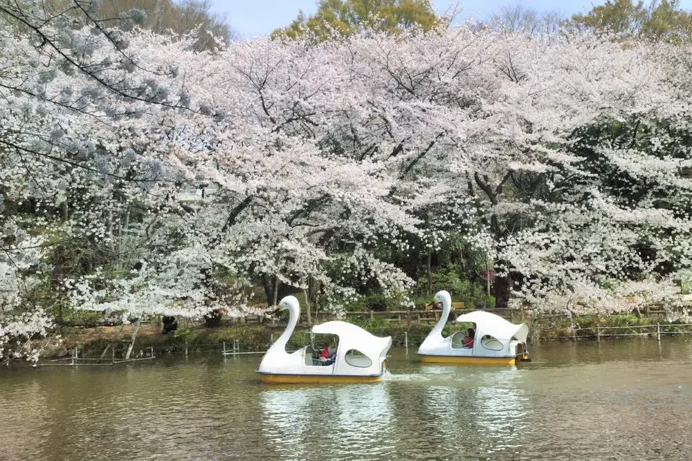 Inokashira Park