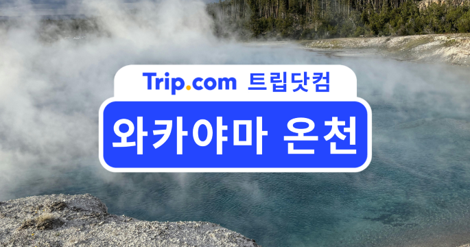 와카야마 온천 여행 가이드: 바다와 자연 속에서 즐기는 휴식| 트립닷컴