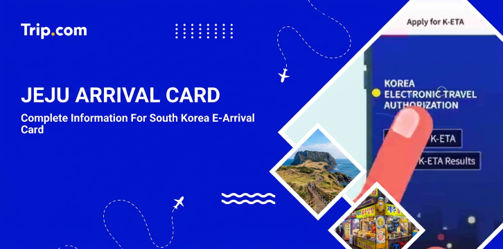 Jeju Arrival Card: Requirements, Online Form & Entry Guide | Trip.com