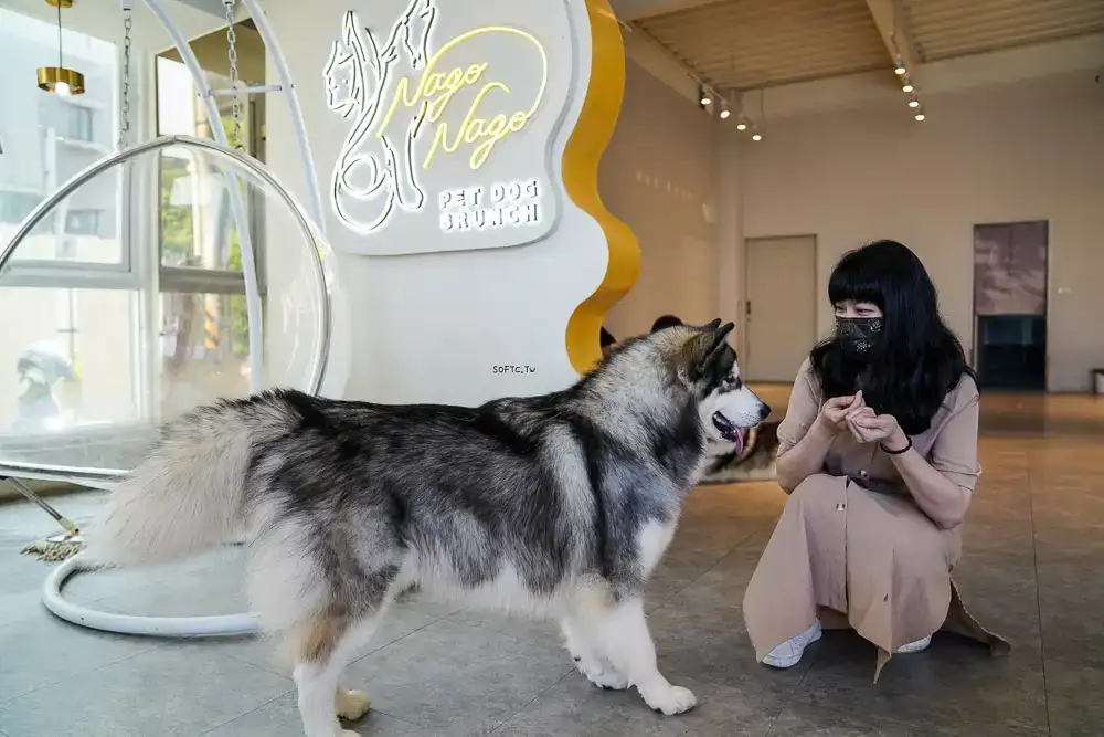 NAGO NAGO 寵物友善餐廳