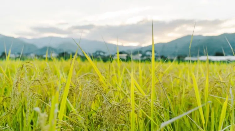 女子ひとり旅の長野旅行で注意するべき3つのこと