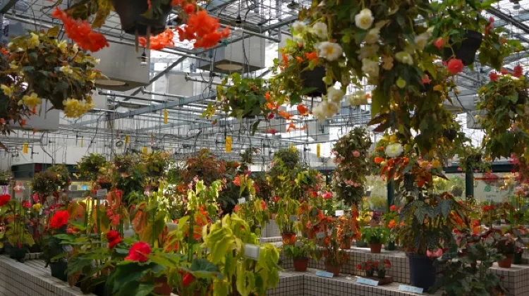 広島市植物公園