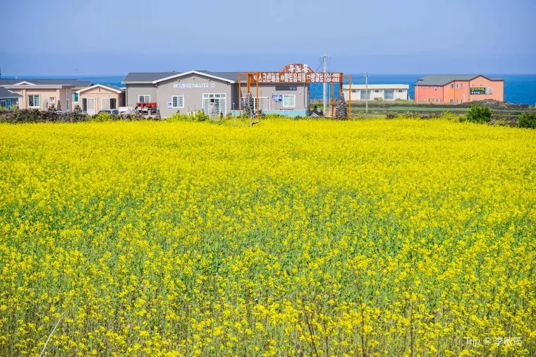 済州島2泊3日旅行におすすめのシーズン