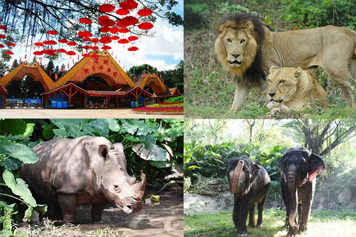 深圳親子樂園 | 深圳野生動物園